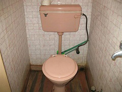 インド,ボランティア