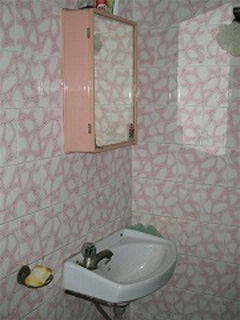 インド,ボランティア